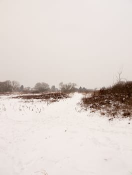 snow covered field meadow outside uk nature white winter field; essex; england; uk