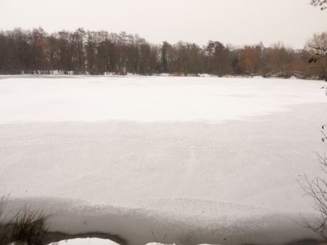 frozen over lake top surface water white snow winter bare trees; essex; england; uk