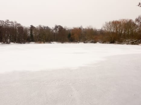 frozen over lake top surface water white snow winter bare trees; essex; england; uk