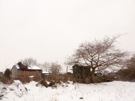 small wooden shed tree winter snow field outside white sky nature background; essex; england; uk