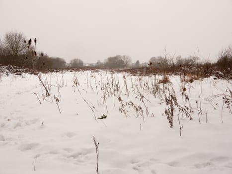 snow covered field meadow outside uk nature white winter field; essex; england; uk