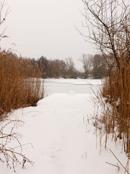 snow covered pontoon near lake with reeds frozen winter day; essex; england; uk