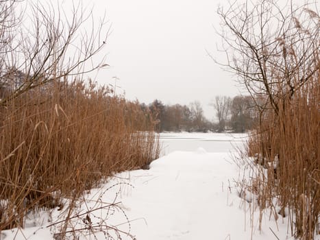 snow covered pontoon near lake with reeds frozen winter day; essex; england; uk