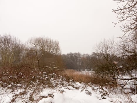 winter outside wood scene lake frozen snow white sky trees bare; essex; england; uk