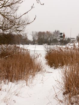 snow covered pontoon near lake with reeds frozen winter day; essex; england; uk