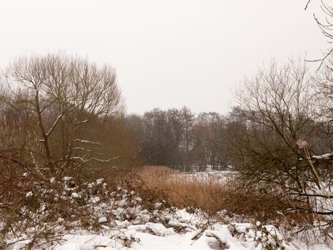 winter outside wood scene lake frozen snow white sky trees bare; essex; england; uk