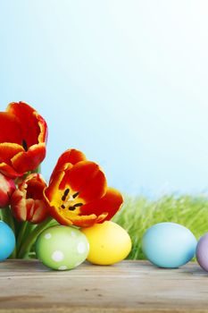 Easter eggs with tulips on spring grass background