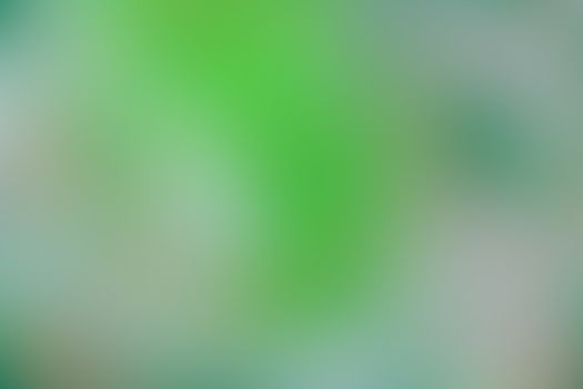 Abstract green nature soft blurred background. Canvas for any project