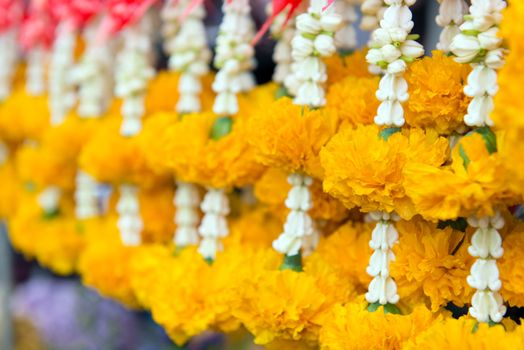 Flower garland contains the yellow Marigold and crown flower for safe and good luck