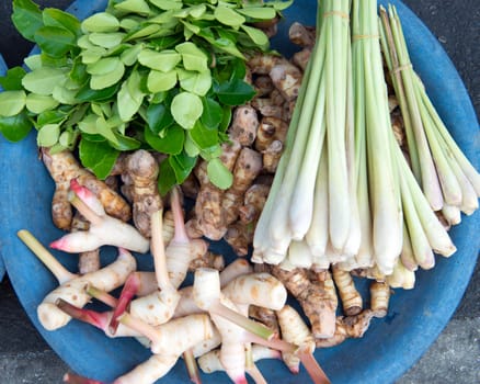 Raw ingredient to cook Tom Yam food