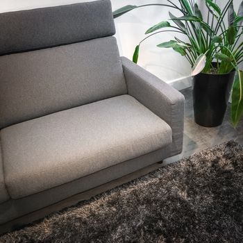 Detail of a living room with gray sofa, green plant, and fluffy rug.