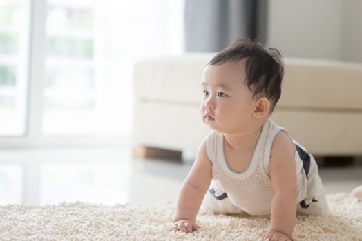 Nine months old baby boy crawling on floor. Asian family at home, living lifestyle indoors.