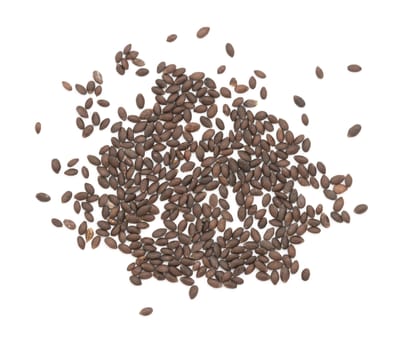 Small black oval annual clary seeds - salvia hormonium - scattered on a white background