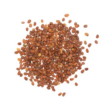 Small brown candytuft flower seeds scattered on a white background