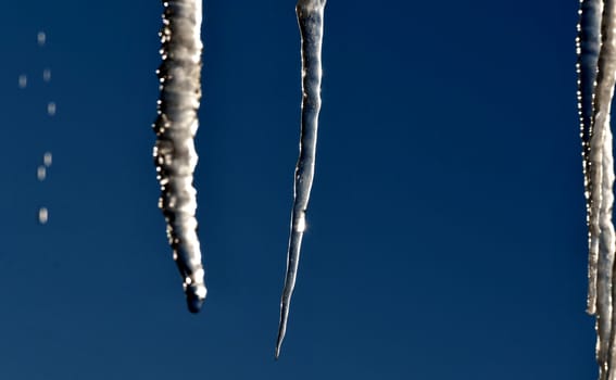 ice icicles lit by the sun against the blue sky