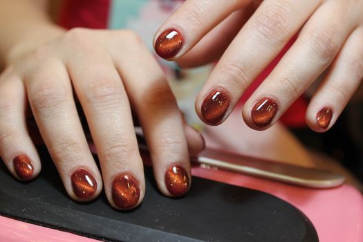 Here is presented one of the best manicure designs this year's Nail