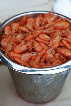 Metal bucket of fresh boiled or steamed small pink shrimps on retail market display, close up, high angle view