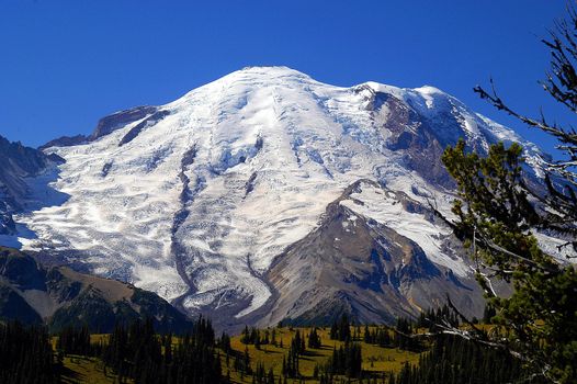 Mt Rainier National Park in late spring