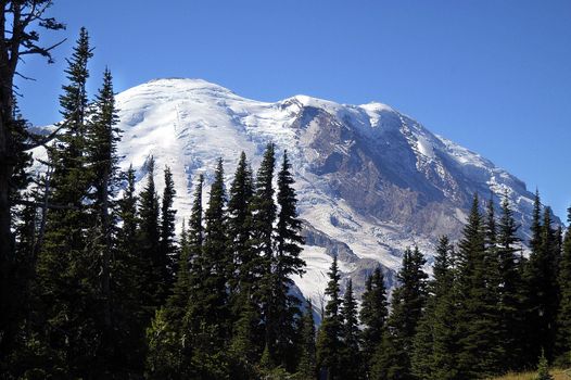 Mt Rainier National Park in late spring