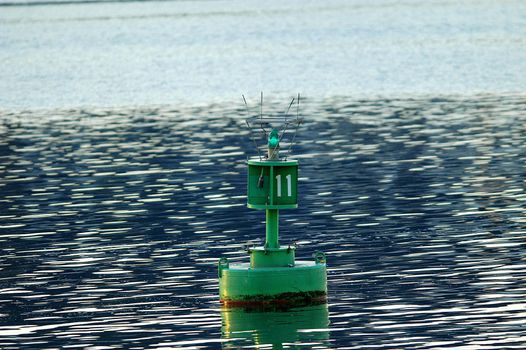 Green navigation buoy marks a turn in the course.