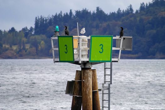 Green Day beacon marks the way into and out of harbor