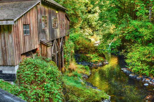 On Cedar Creek, Skamania County, WA, East of Woodland, Washington State