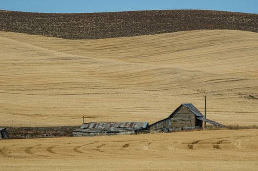 Aging, Abandoned barn in late summer in the Palouse region of Washington