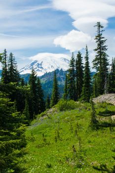 Taken near Sunrise in Mount Rainier National Park, Washington