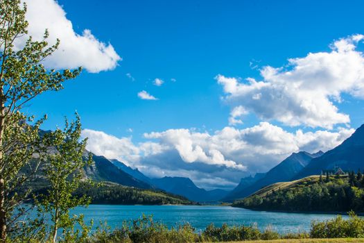 Looking at Canadian Rockies and puffy clouds across Waterton Lake