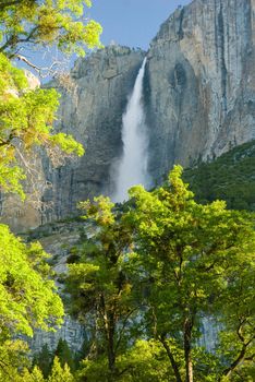 Yosemite Falls on clear morning