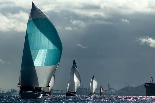 Sailboat racing in Puget Sound, Washington