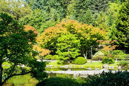 In Seattle's Washington Arboretum Park