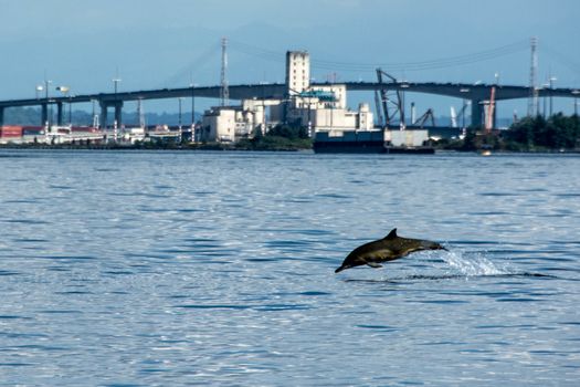 Photographed on Seattle's Elliott Bay