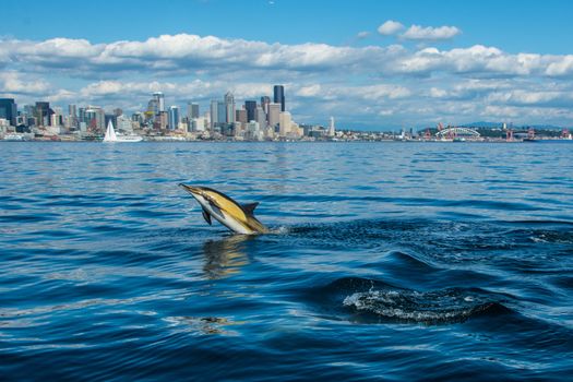 Photographed on Seattle's Elliott Bay