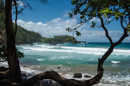 Blue sky with puffy clouds over Hawaiian beach in Maui