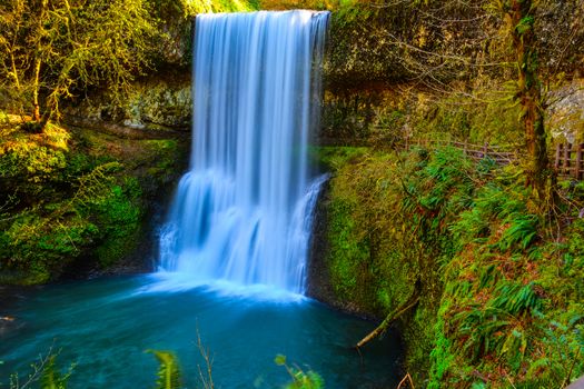 Silver Falls St Pk, OR