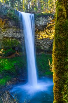 Silver Falls St Pk, OR