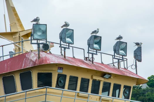 Seagulls roost, one per light, on top of a commercial boat