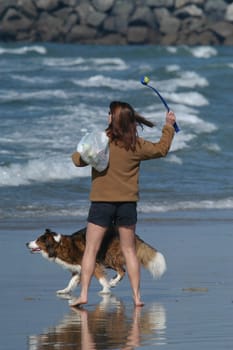 Dog and owner playing fetch at Dog Beach