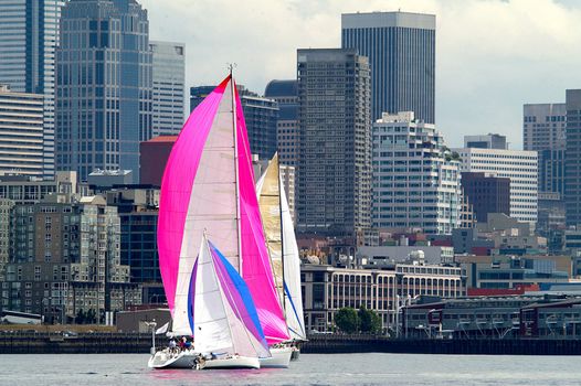 Sailboats against Seattle skyline, Seattle, WA