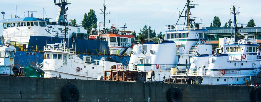 Tugs moored in Seattle's Lake Union, make good abstract