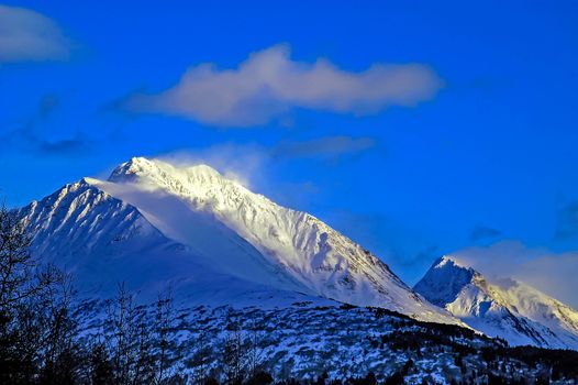 Snowy scene taken in Seward, AK