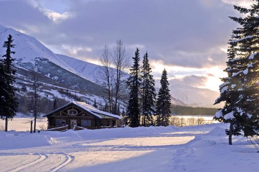 Snowy scene taken in Seward, AK