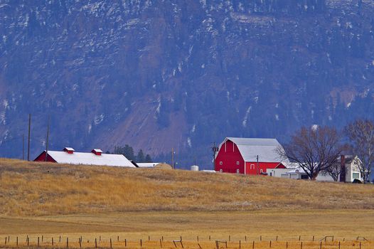 Farm scene, Columbia Falls, Montana