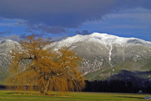 Farm  Scene near Whitefish, MT in early winter