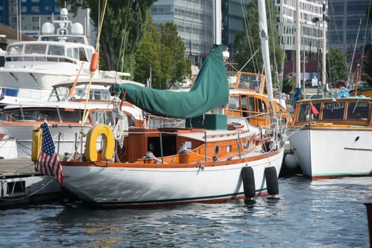 Festival at Center for Wooden Boats.