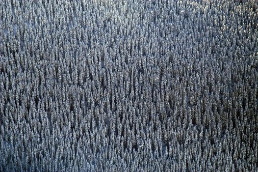 Aerial scene taken from plane flying over mountans of Whistler. BC