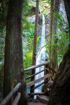 Marymeer Falls on easy hike in Olympic National Park