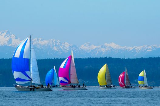 Salinig Races in the Pacific Northwest USA