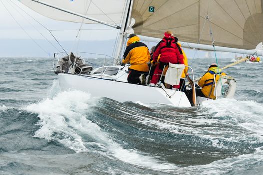 Salinig Races in the Pacific Northwest USA